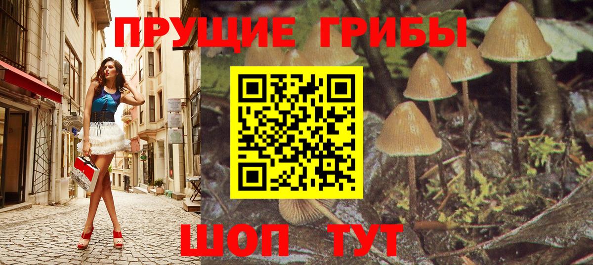 Псилоцибиновые грибы мицелий Моршанск