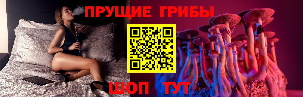 Псилоцибиновые грибы мухоморы  Галлюциногенные грибы MAGIC MUSHROOMS  Вход с VPN  Моршанск 